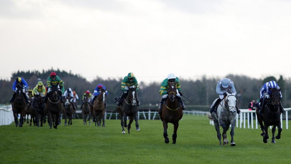 Fairyhouse